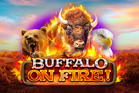 Buffalo On Fire!